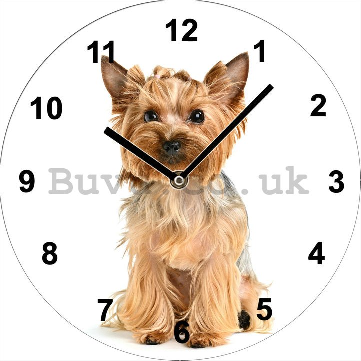 Glass wall clock - Yorkshire terrier