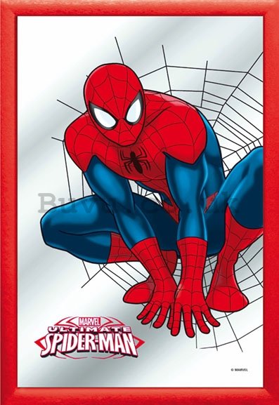 Mirror - Spiderman (1)