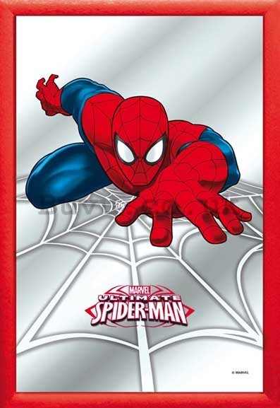 Mirror - Spiderman (2)