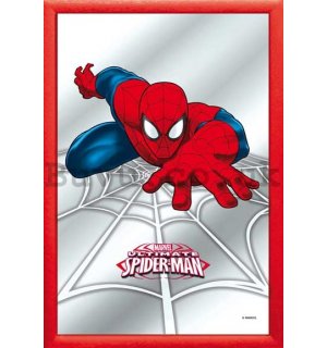 Mirror - Spiderman (2)