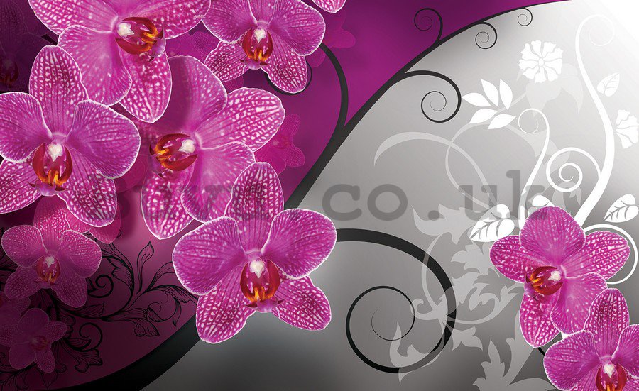 Wall Mural: Orchids (3) - 254x368 cm