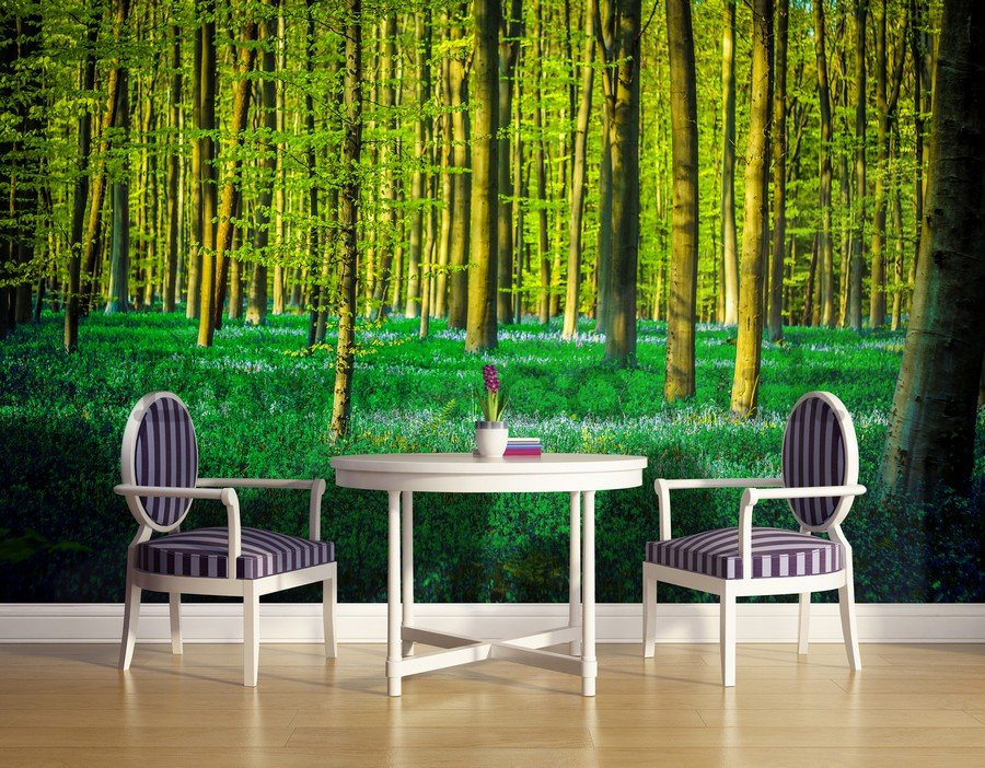 Wall Mural: Forest (5) - 184x254 cm