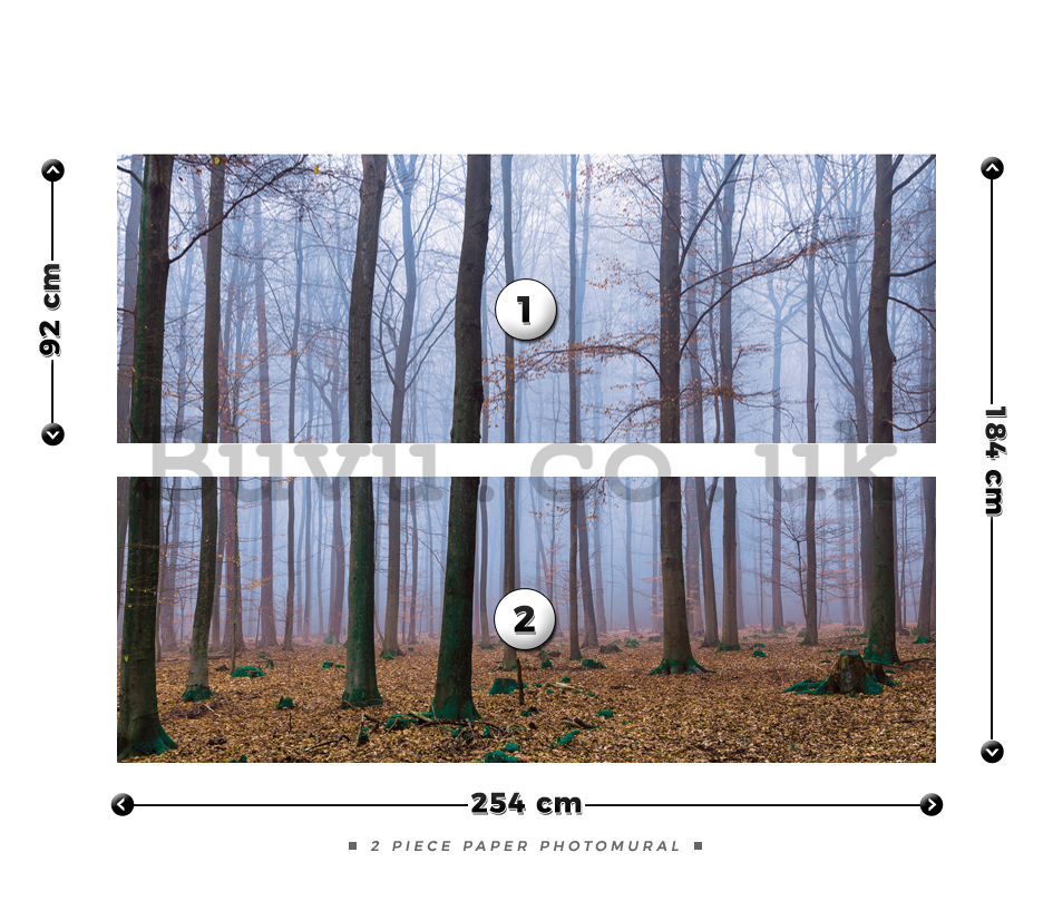 Wall Mural: Fog in the forest (1) - 184x254 cm