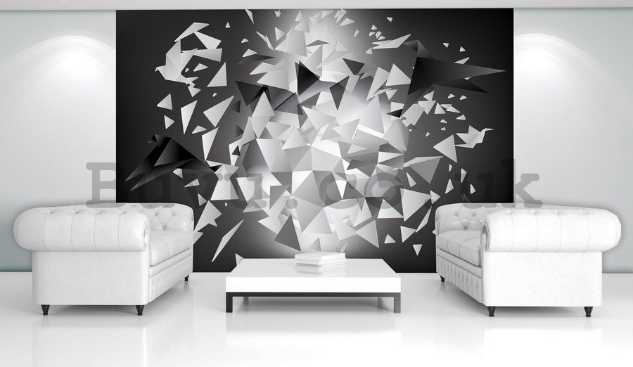 Wall Mural: Black & White abstraction (1) - 184x254 cm