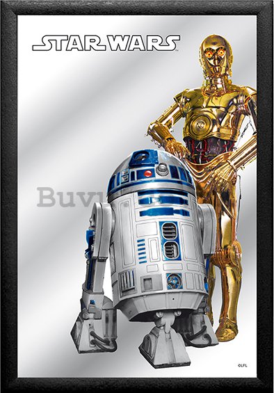 Mirror - Star Wars (R2-D2 & C-3PO)