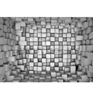 Wall Mural: Cubic space - 184x254 cm