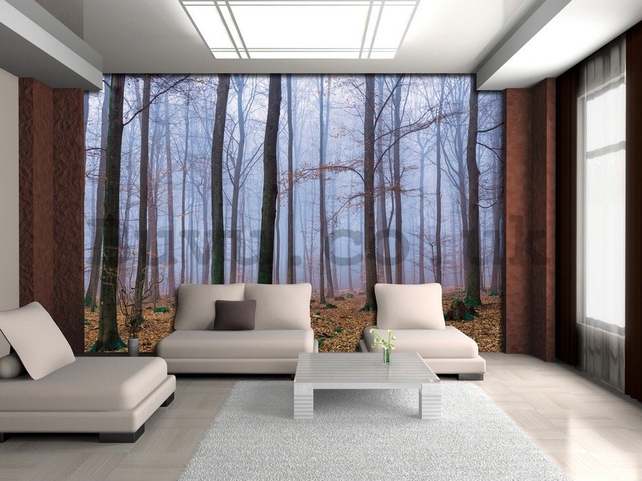 Wall Mural: Fog in the forest (1) - 254x368 cm