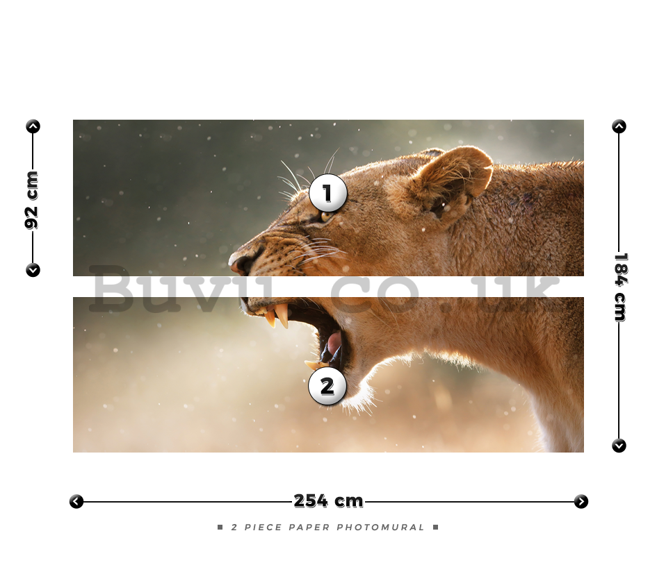 Wall Mural: Lioness - 184x254 cm