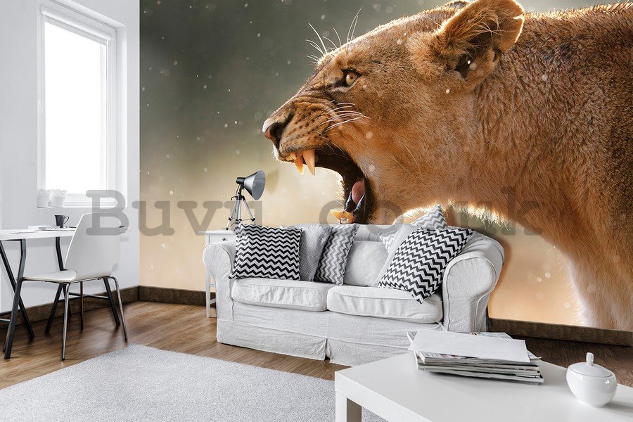 Wall Mural: Lioness - 254x368 cm