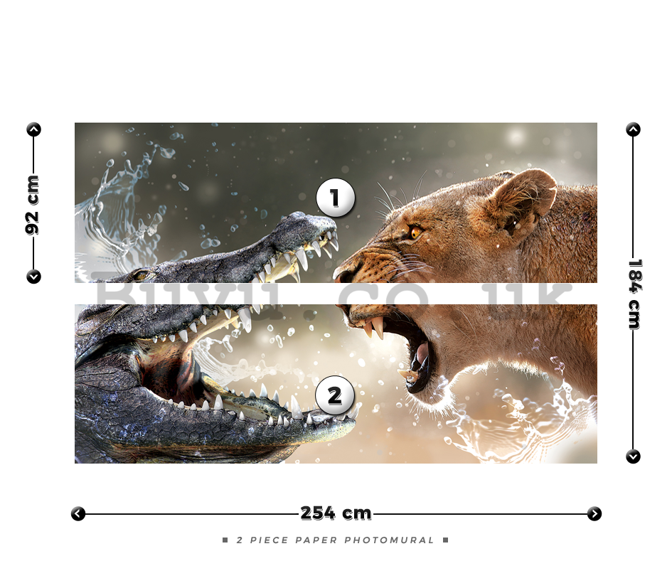 Wall Mural: Lioness and Crocodile - 184x254 cm