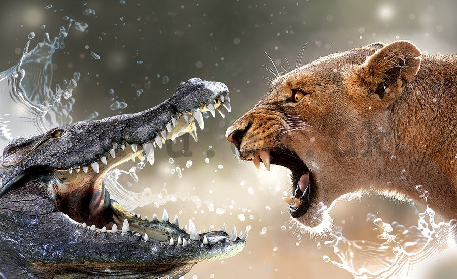 Wall Mural: Lioness and Crocodile - 254x368 cm
