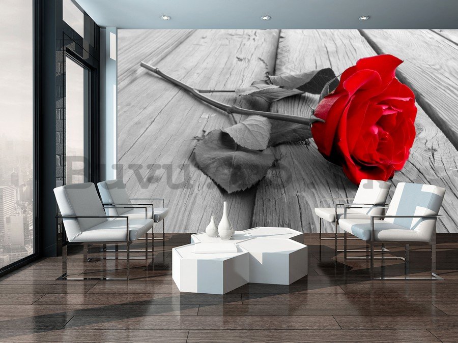 Wall Mural: Red rose - 184x254 cm