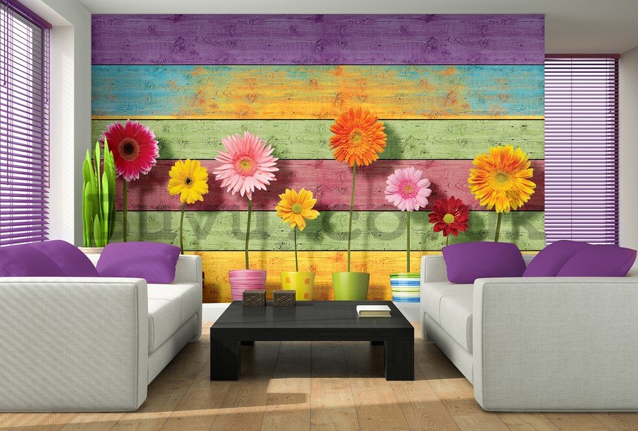 Wall Mural: Colorful Gerberas - 184x254 cm