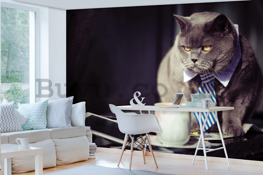 Wall Mural: Cat (manager) - 184x254 cm
