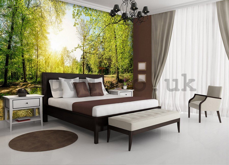 Wall Mural: Forest brook (3) - 184x254 cm