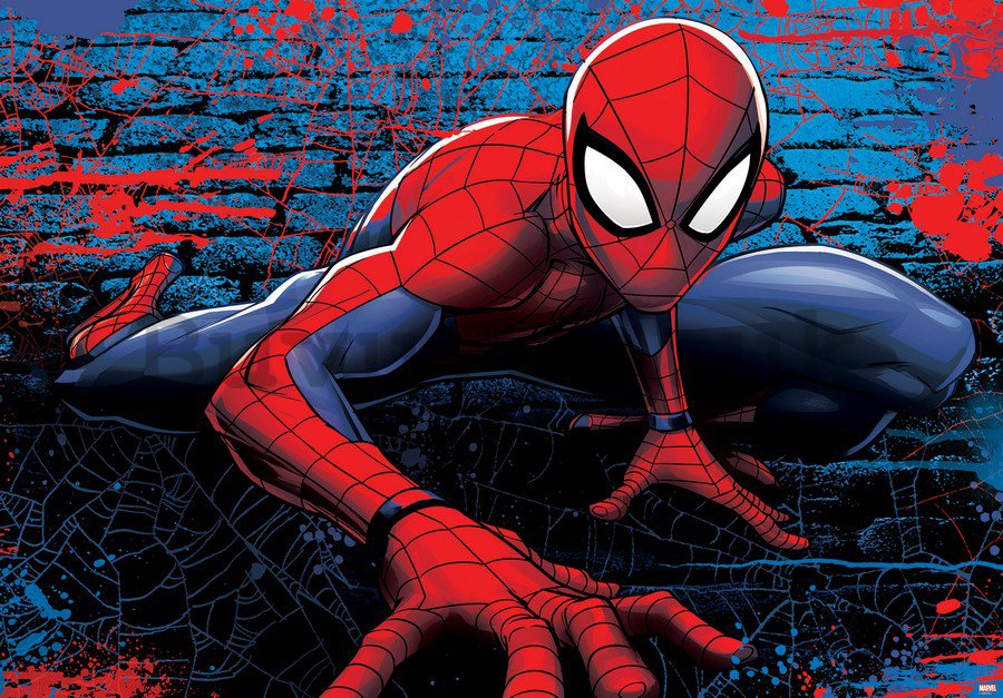 Wall Mural: Spiderman (5) - 184x254 cm