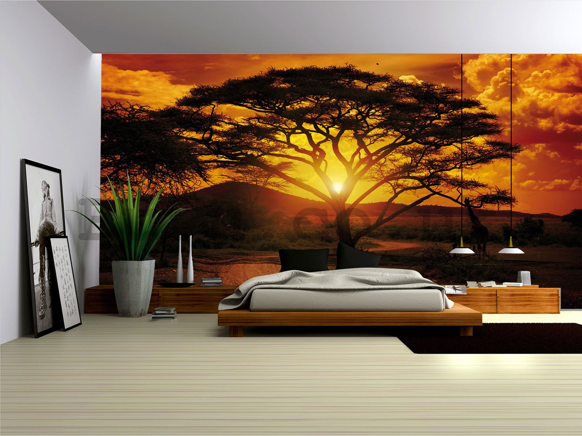 Wall Mural: African sunset - 254x368 cm