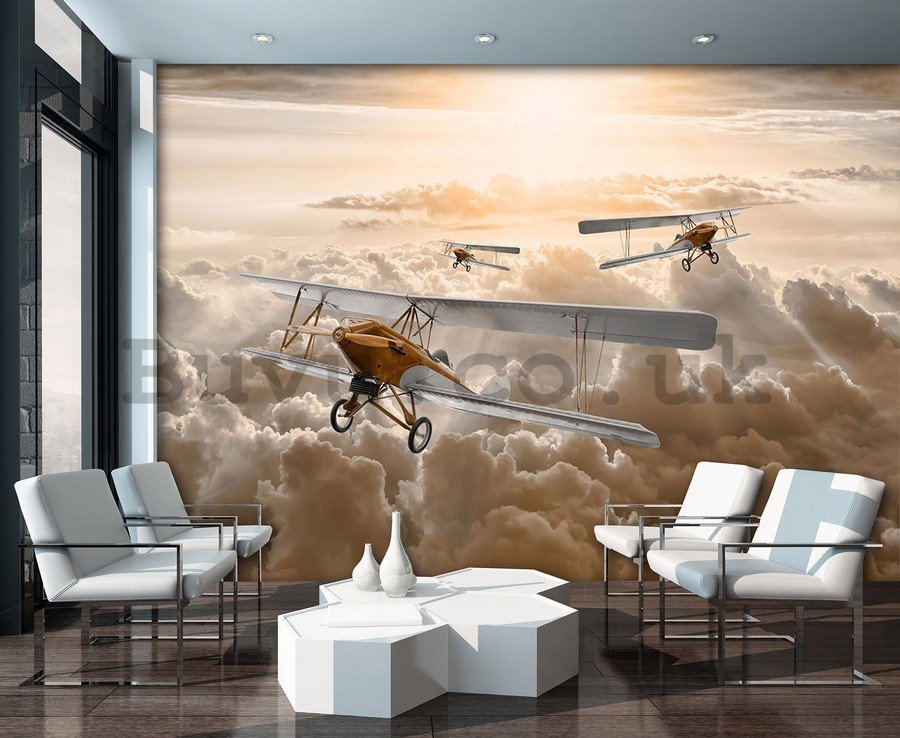 Wall Mural: Biplanes - 184x254 cm