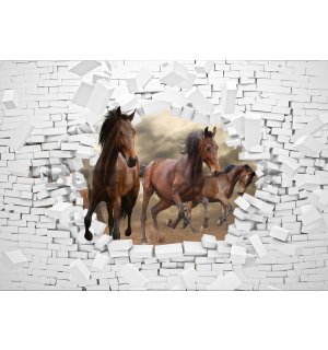 Wall Mural: Horses in the wall - 184x254 cm