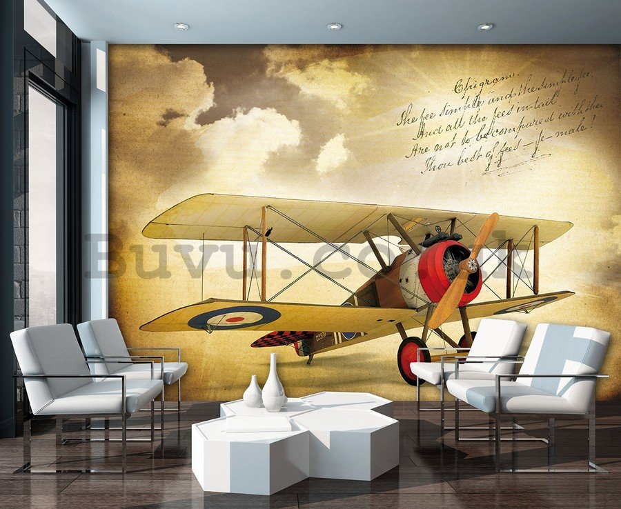 Wall Mural: Biplane (Vintage) - 184x254 cm