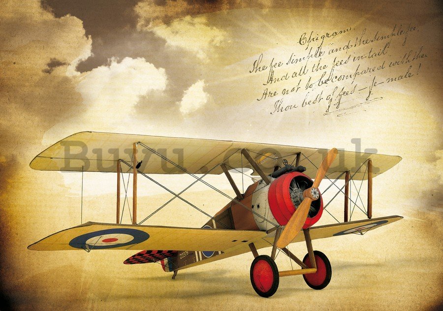 Wall Mural: Biplane (Vintage) - 184x254 cm