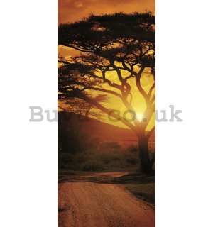 Wall Mural: African sunset - 211x91 cm