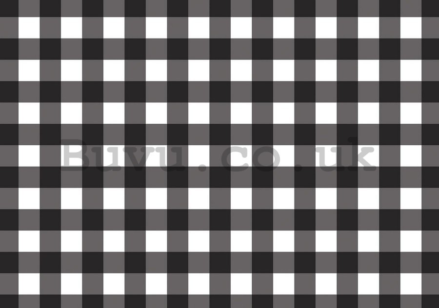 Wall Mural: Black and white squares - 254x368 cm