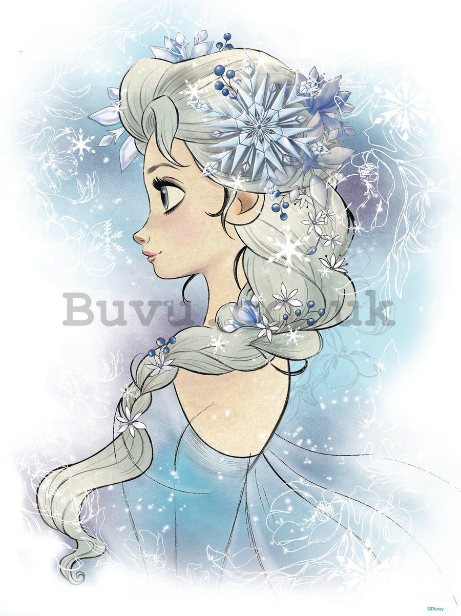 Wall Mural: Frozen Elsa (1) - 254x184 cm