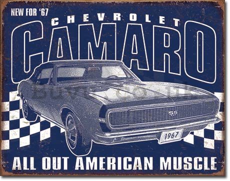 Metal sign - Chevrolet Camaro