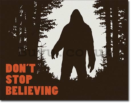Metal sign - Do not Stop Believing