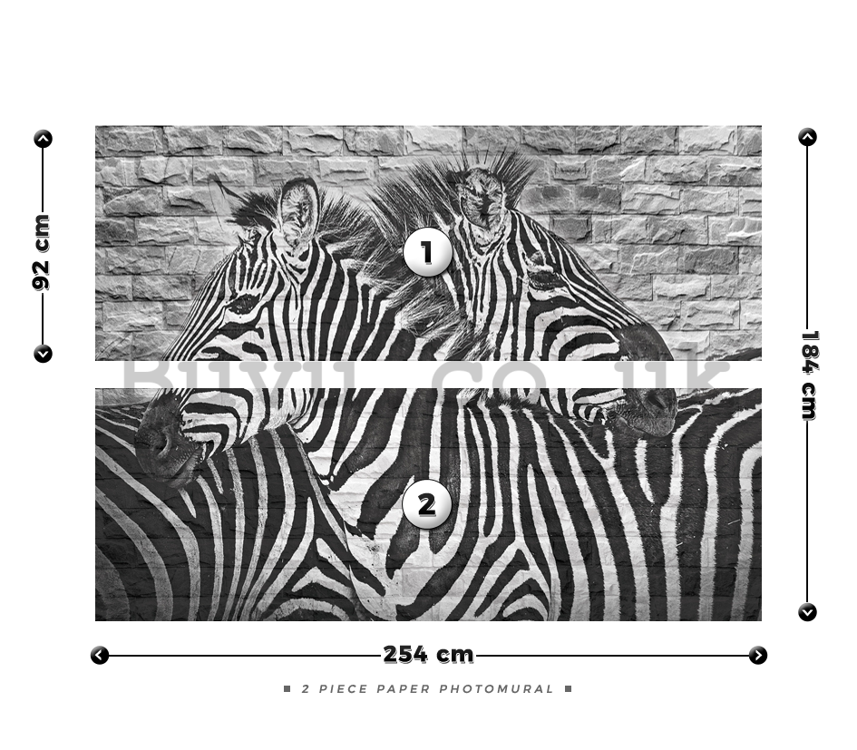 Wall Mural: Zebras - 184x254 cm