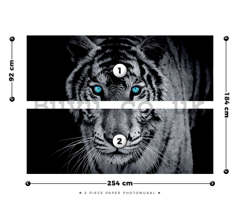 Wall Mural: Black and white tiger - 184x254 cm