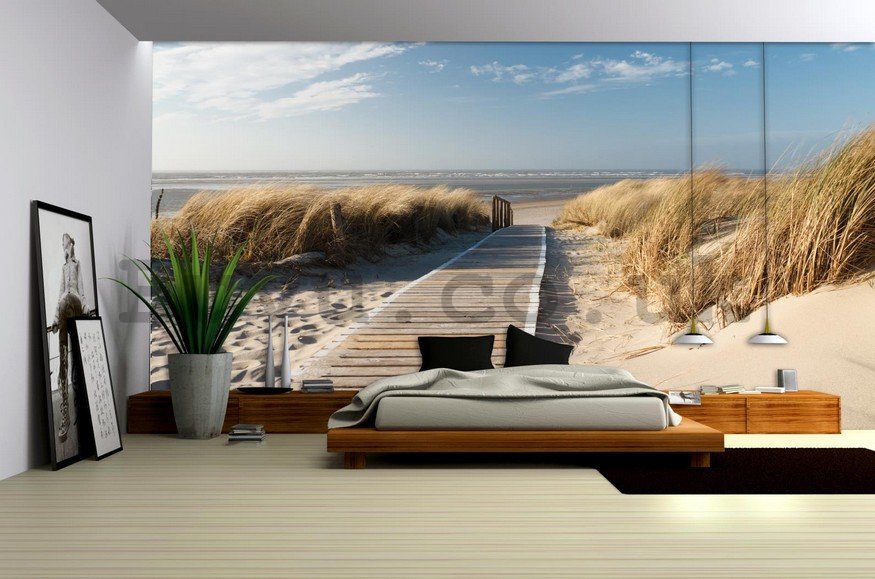 Wall Mural: Way to the beach (2) - 254x368 cm