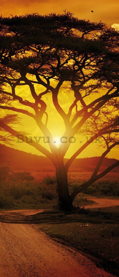 Photo Wallpaper Self-adhesive: African sunset - 211x91 cm