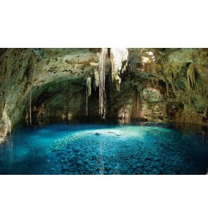 Wall Mural: Cave (1) - 184x254 cm