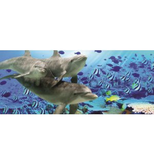 Wall Mural: Undersea world - 104x250 cm