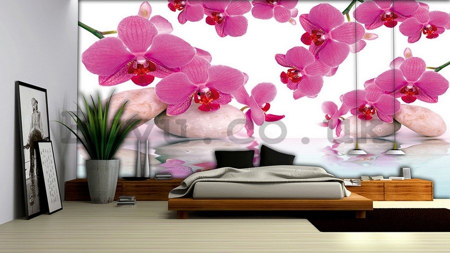 Vlies wall mural : Orchid and stones - 184x254 cm