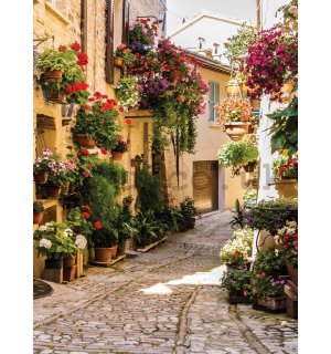Wall Mural: Street with flowers - 254x184 cm