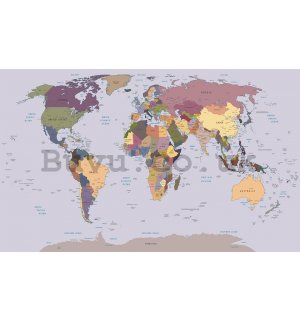 Wall Mural: Map of the world (1) - 184x254 cm
