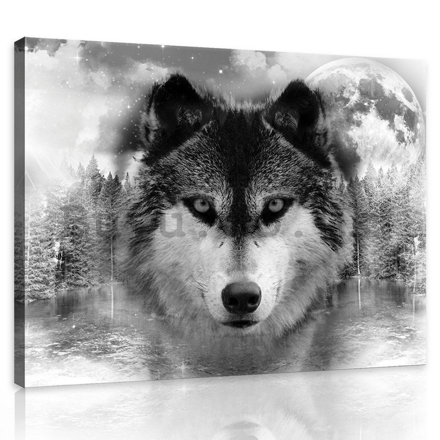 Painting on canvas: Wolf (3) - 75x100 cm