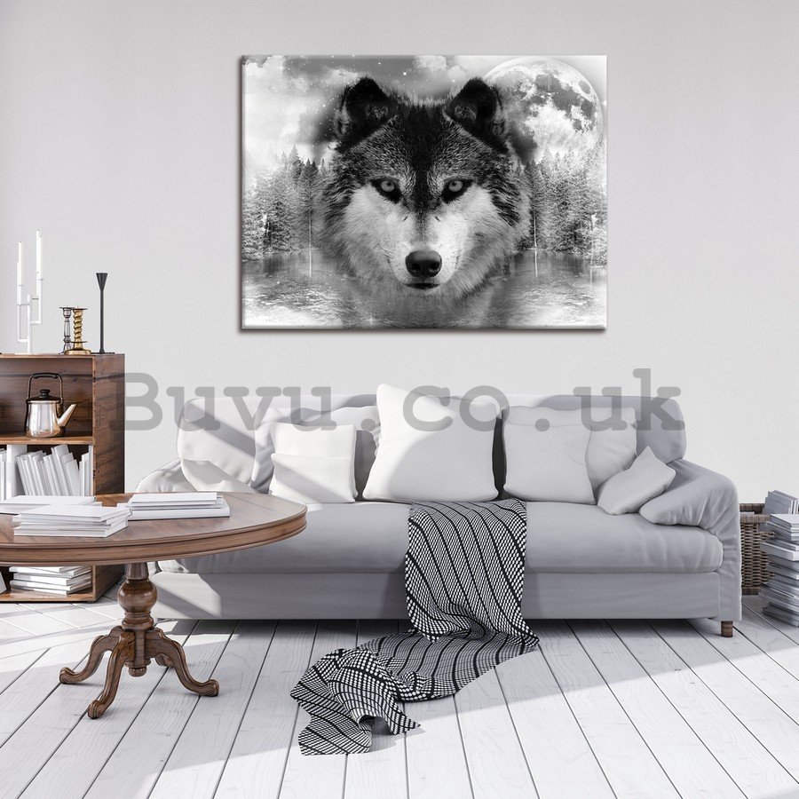 Painting on canvas: Wolf (3) - 75x100 cm
