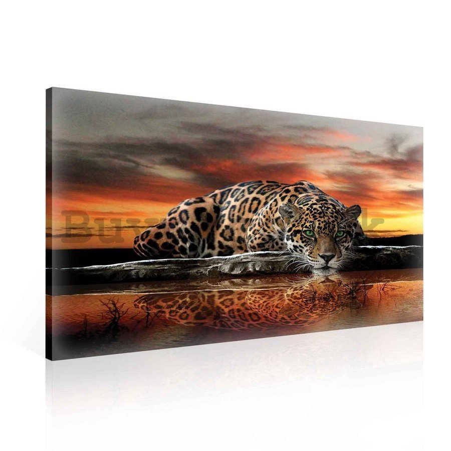 Painting on canvas: Jaguar - 75x100 cm