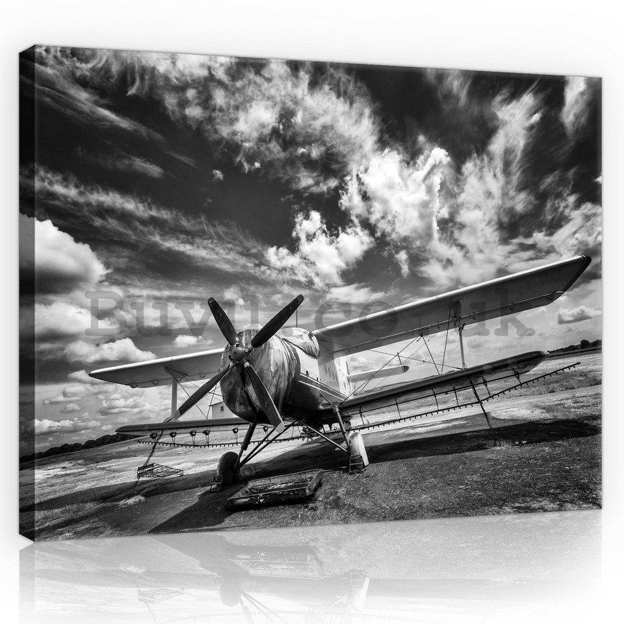 Painting on canvas: Biplane (black and white) - 75x100 cm