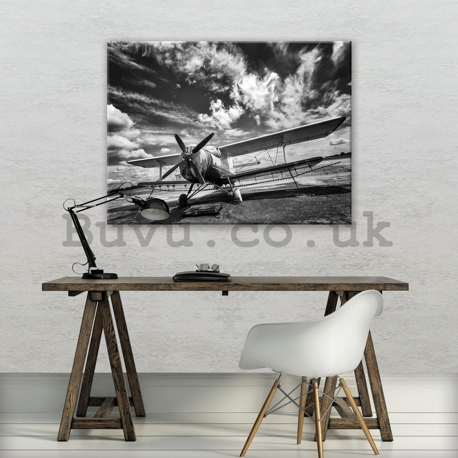 Painting on canvas: Biplane (black and white) - 75x100 cm