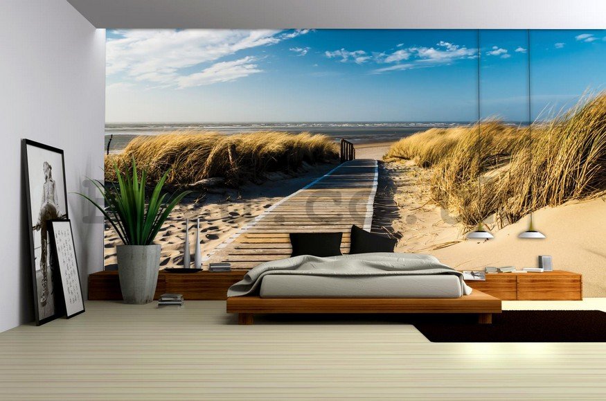 Wall Mural: Way to the beach - 254x368 cm