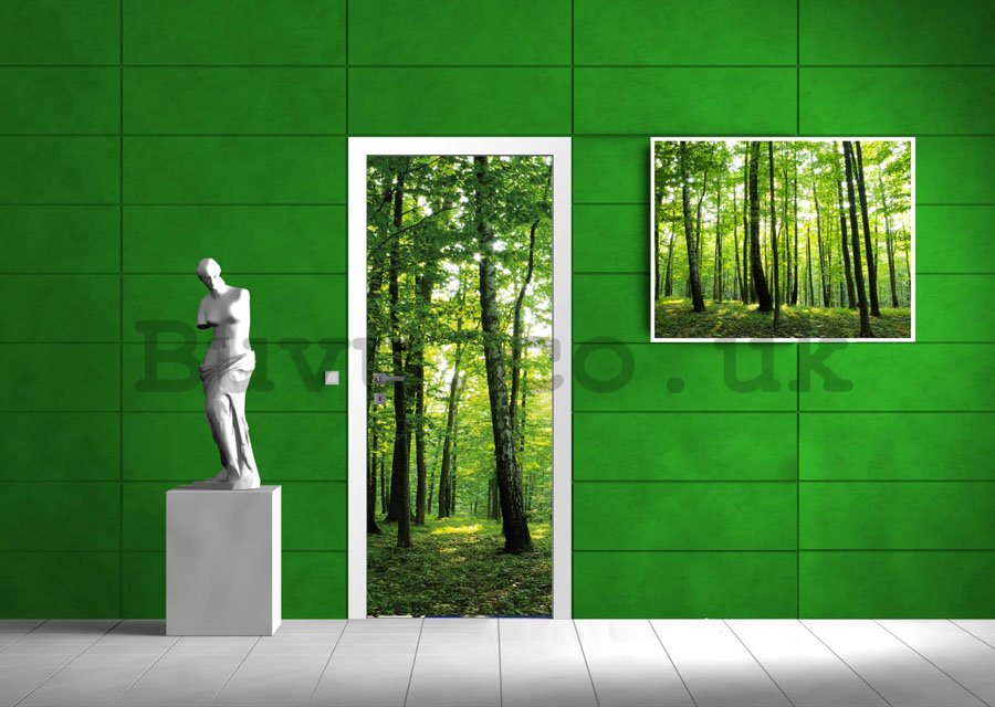 Wall Mural: Woods (2) - 211x91 cm