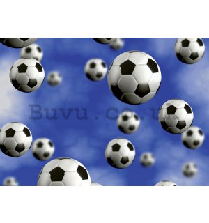 Wall Mural: Football balls - 184x254 cm