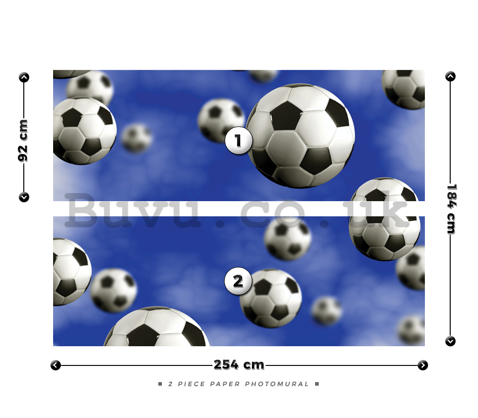 Wall Mural: Football balls - 184x254 cm