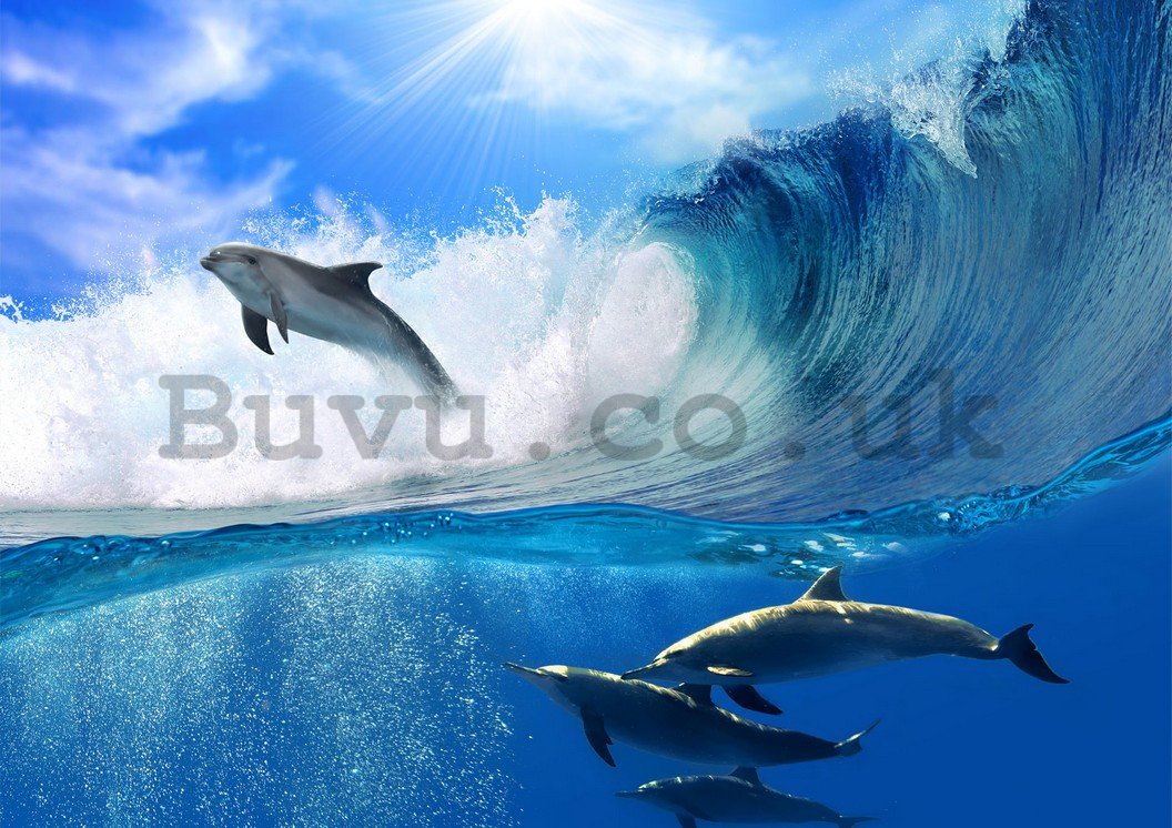 Wall Mural: Dolphins - 184x254 cm
