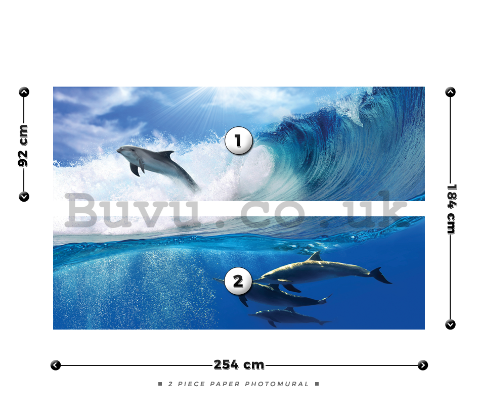 Wall Mural: Dolphins - 184x254 cm